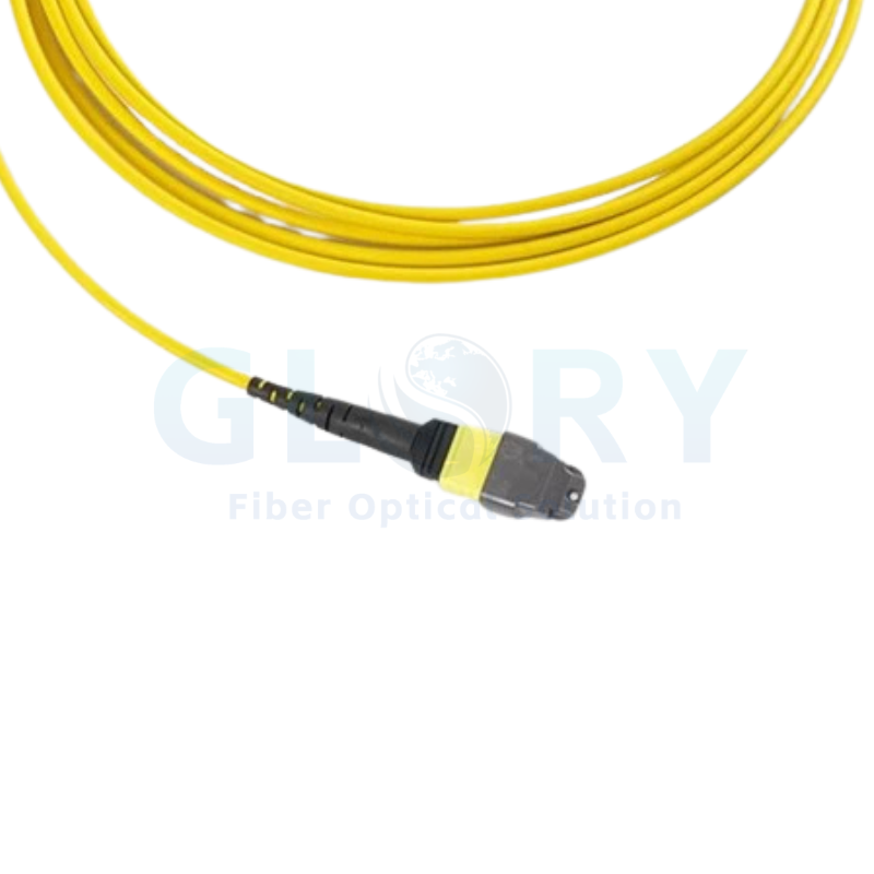 MPO to MPO Fiber Cable MPO to MPO Fiber Cable